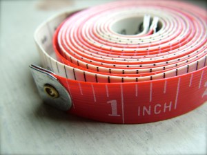 openphotonet_DSCF1885